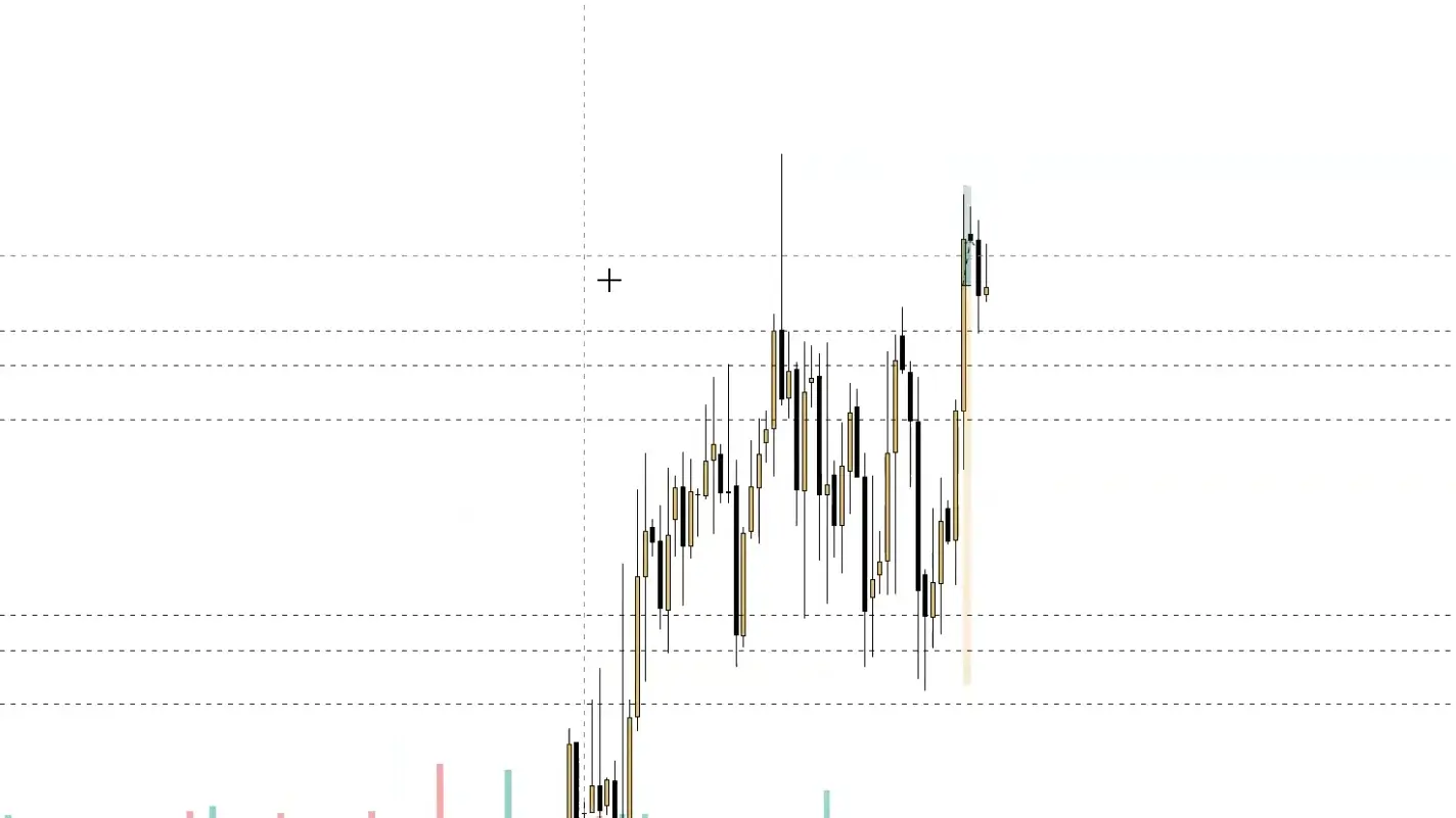 Chartsekte Trading Live 12